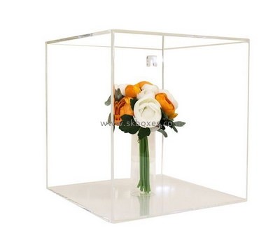 Customize clear plastic display cases BDC-1827