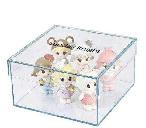 Custom acrylic storage box