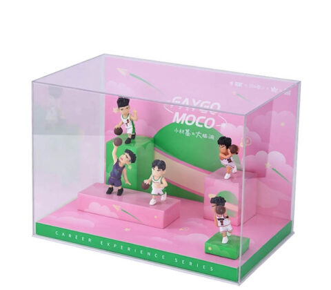 Custom acrylic figures display case