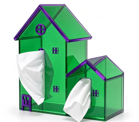Custom house shaped facial tissue box